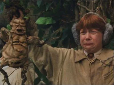 Que peut engendrer l'entente du cri de la Mandragore ?