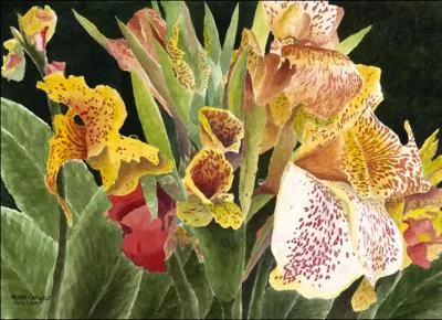 Que pourrait faire Jacques Brel, si vous tenez compte du fait qu'elles sont prissables ?