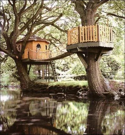 Quel verbe vous inspire cette photo ?