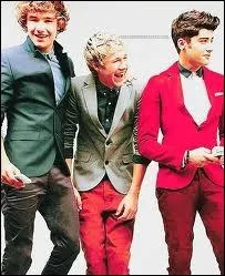 Qui n'a plus qu'un seul rein ?