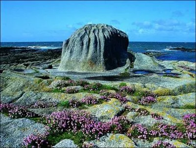 Ce port a sduit Zola, Flaubert et Daudet, vous y dcouvrirez de belles maisons en granit agrmentes d'hortensias, quel est ce port ?