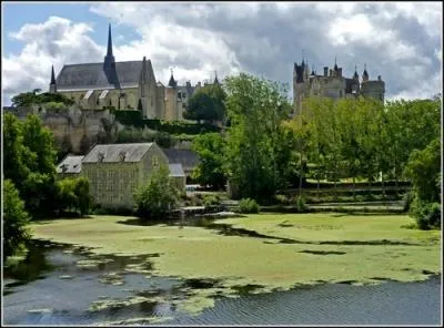 Quelle est cette ville situe au carrefour de l'Anjou, de la Touraine et du Poitou qui s'organise autour de son chteau dont on trouve les traces des 1025 ?