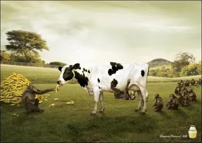 Pour terminer ce quiz, nous allons chanter tous ensemble ...