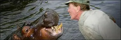 De quoi sont composes les dents d'un hippopotame ?