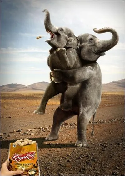 Auteurs de nombreuse citations, il nous dit : Les cacahutes c'est doux et sal, fort et tendre, comme une femme. Les cacahutes c'est le mouvement perptuel  la porte de l'homme !