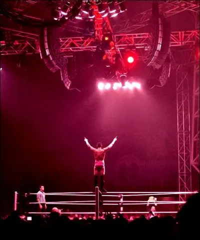 A qui CM Punk rend-il hommage avec cette descente du coude ?