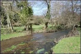 Le Fleuve Saire est un affluent ...