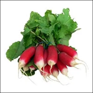 L'anagramme du nom de ce lgume correspond au mot qui dsigne...