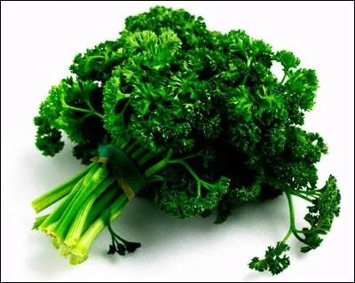 Il peut tre plat ou fris. En mlangeant les lettres de son nom vous obtiendrez celui...