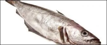 Comment appelle-t-on également le colin ?