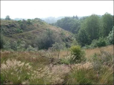  Le jour, je m'(... ) sur des grandes bruyres (... ) par des forts.