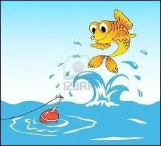 Ce qui est certain, et vous ne le nierez pas :