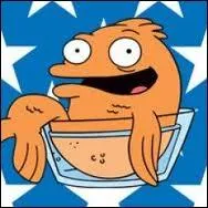 Vous me faites quelques remarques sur ce quiz, je rponds  ct de vos questions embarrassantes :