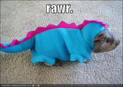 Comme vous le voyez, le cobaye est habill en dinosaure, trouvez le bon verbe !