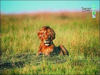 Il n'y a vraiment pas de quoi couper un cheveu en quatre pour trouver la rponse !