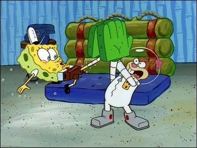 Dans'fans de karat�', combien de canards il y a t-il dans le salon de Bob?