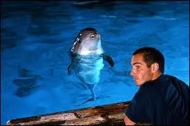 Quel est ce film de Luc Besson ?