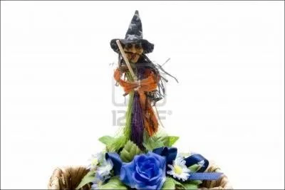 Je suis sr que vous serez enchant de trouver la rponse, sinon, ouste, du balai !