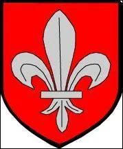 A quelle ville appartient ce blason ?