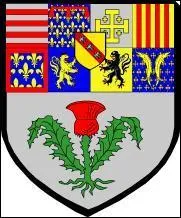A quelle ville appartient ce blason ?