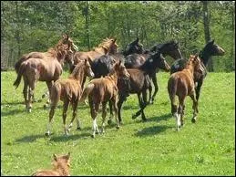 Qu'est-ce que le sevrage ?