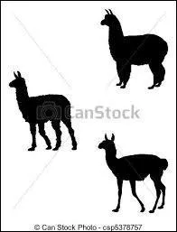 Quel animal, emblme de la Bolivie, figure sur le drapeau du pays ?