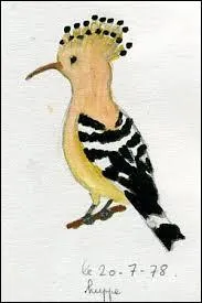 L' Isral a dsign un oiseau national en 2008. Mais de quel oiseau est-il question ?