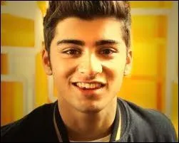 Qui est la petite amie de Zayn ?