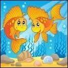 Qui chantait  Un petit poisson un petit oiseau s'aimaient d'amour tendre, mais comment s'y prendre quand on est dans l'eau ?  