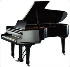 Est-ce que les pianos  queue on un couvercle ?