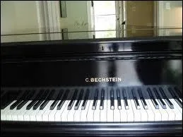 Bechstein est-il une marque de piano ? rponse par oui ou par non.