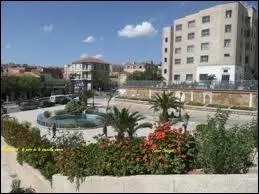 Percussions originaires d'Amrique