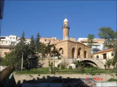 Il y a celle des vaches qui est obligatoire chaque jour et celle des Noirs que l'on peut considérer aujourd'hui comme une honte historique si on est normalement constitué.