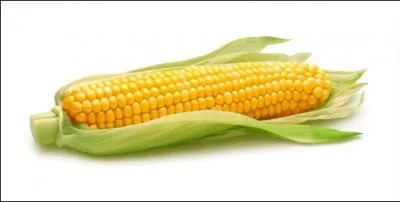 Cette crale, le bl d'Inde pour un Canadien, porte un nom dont l'anagramme est un synonyme de :