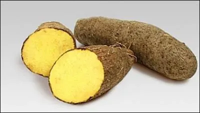 Cette tubercule des rgions tropicales porte un nom qui est l'anagramme d'un synonyme de :