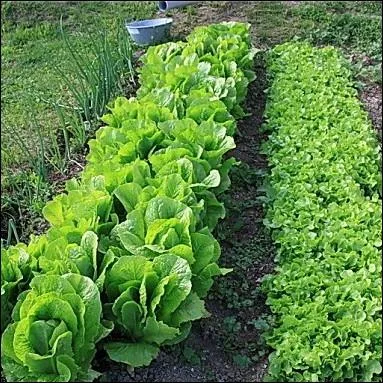 Je suis srieux, je ne vous raconte pas de... . .