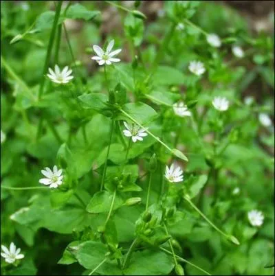 Et surtout ne vous faites pas de ... . .