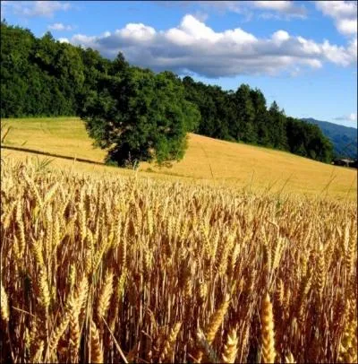 Sans pour autant essayer de se faire ... . .