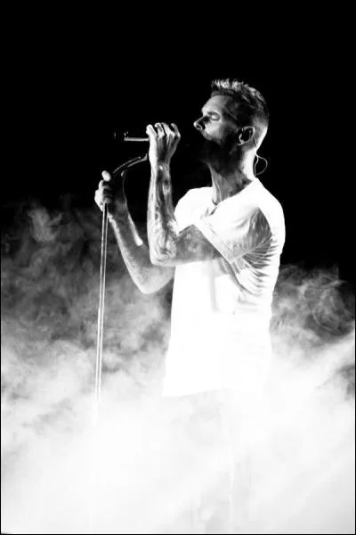 Quel tait le nom de sa tourne en 2008 ?