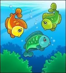 Qu'appelle-t-on Lippu rondeau ?