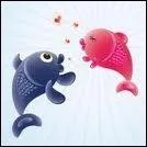 Qu'est-ce qu'une girelle ?