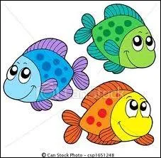 Qu'est-ce qu'un concombre de mer ?