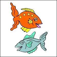 Qu'est-ce qu'un Tilapia ?