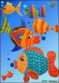 Qu'est ce qu'une poule de mer ?