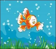 Qu'est-ce qu'un Panache officier ?