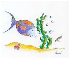 Qu'est ce qu'une blanche espagnole ?