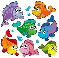 Qu'est-ce qu'un Pompanneau plume ?