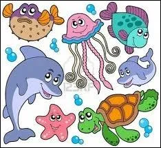 Qu'appelle-t-on Coque du levant ?