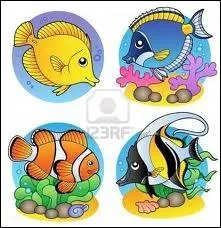 Qu'appelle-t-on Daldinie laque ?