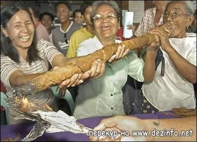 Certainement l'un des films prfrs de Doc Gynco :